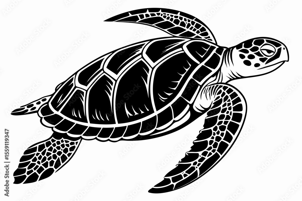 Obraz premium green sea turtle sihouette black vector