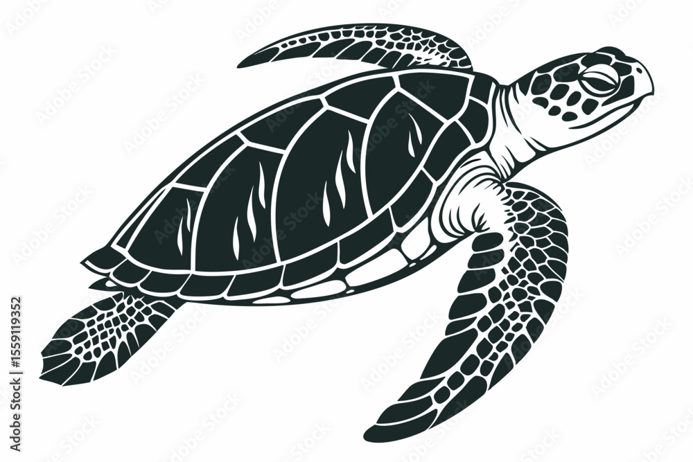 Obraz premium green sea turtle sihouette black vector