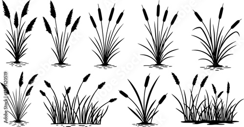 Grass reed icons set. Reed mace icons set showing aquatic grass growing in wetlands, nature plant for decoration
