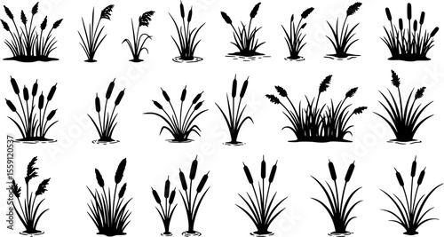 Grass reed icons set. Reed mace icons set showing aquatic grass growing in wetlands, nature plant for decoration
