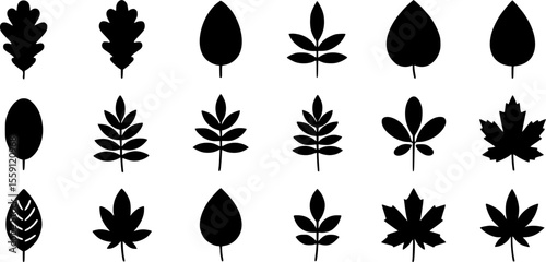 icons set. Different leaf icons representing various tree species, perfect for nature and botany projects
