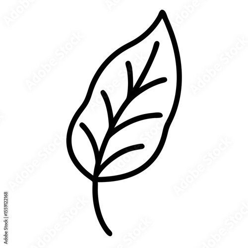Leaf icon in black line style on white background