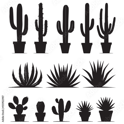 Collection of diverse black silhouette cactus and succulent plants in pots