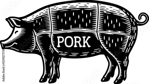 Illustration of a pig with butcher cut lines and the word pork in the center section area cut