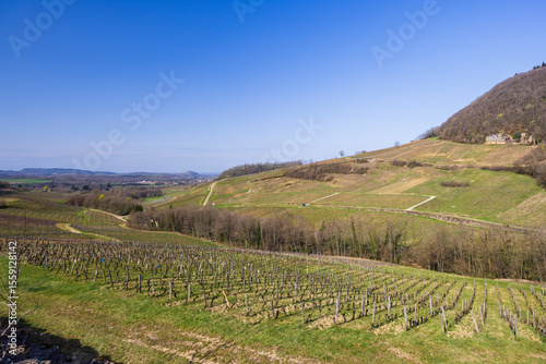 Scenic Vineyard Landscape in Chateau Chalon, France photo
