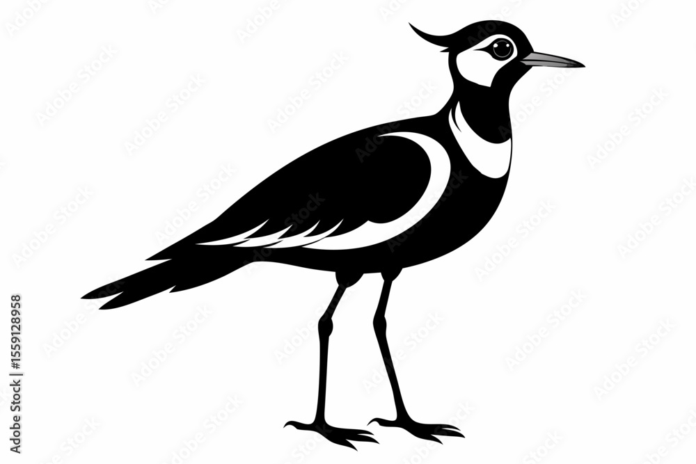 Obraz premium lapwing sihouette black vector