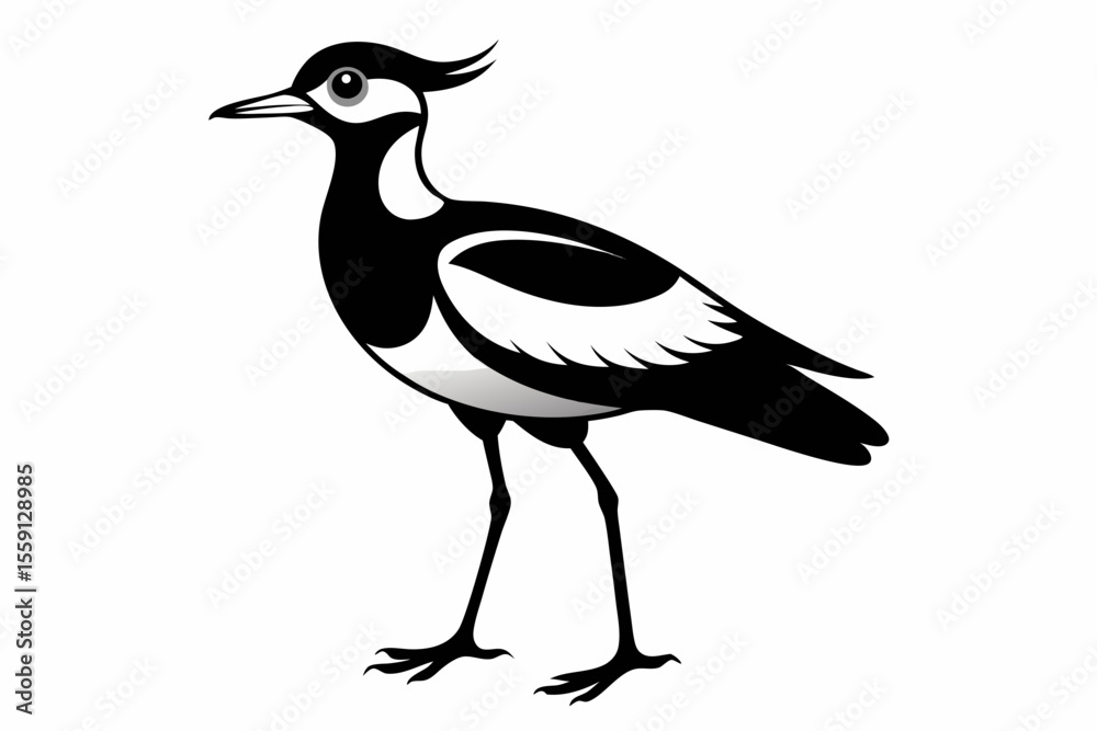 Fototapeta premium lapwing sihouette black vector
