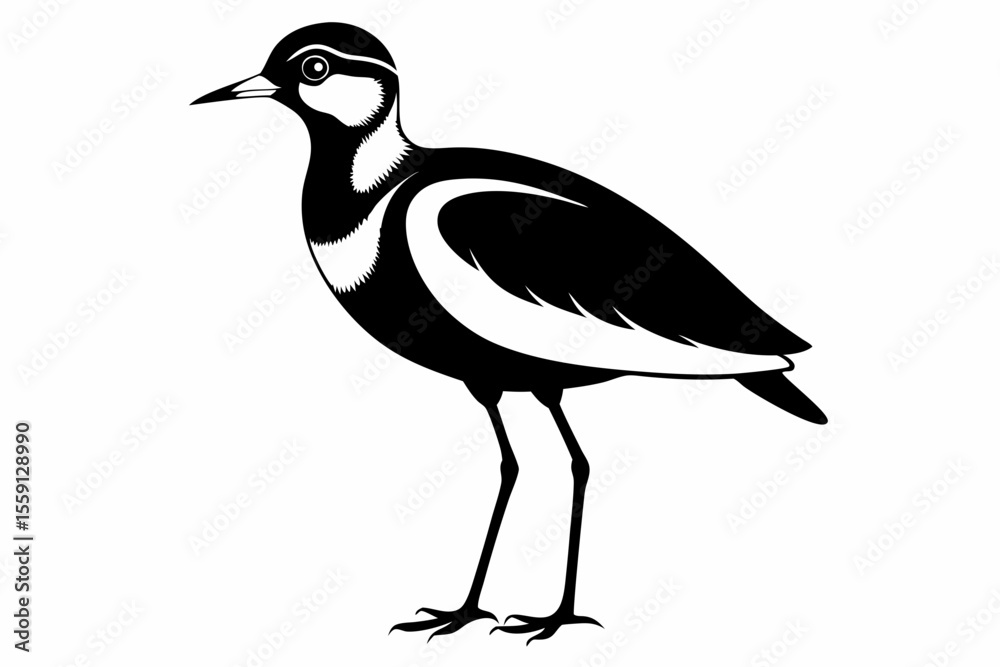 Obraz premium lapwing sihouette black vector