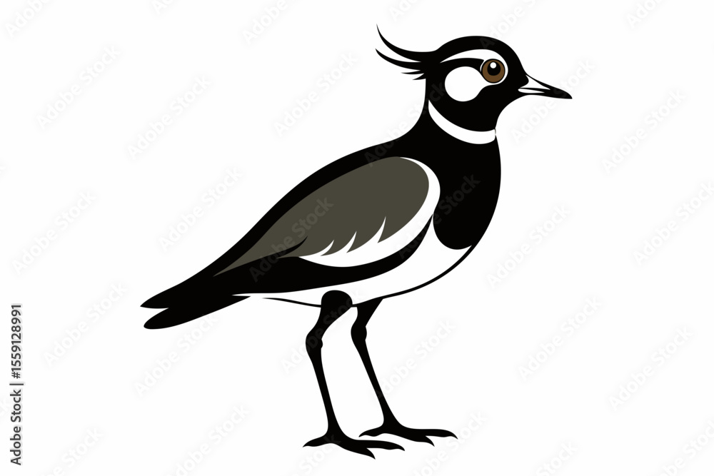 Fototapeta premium lapwing sihouette black vector