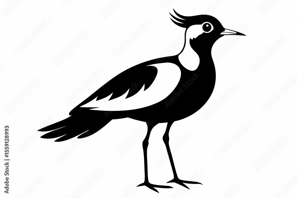 Fototapeta premium lapwing sihouette black vector