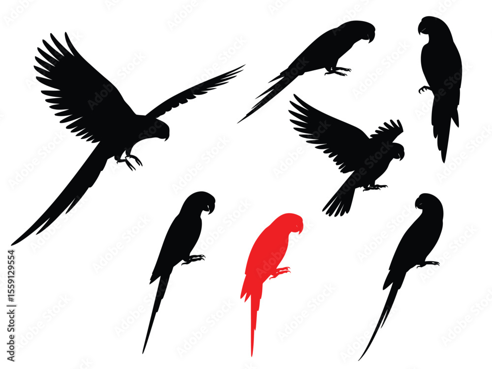 Fototapeta premium Vector silhouettes of Amazon jungle parrots isolated on white background
