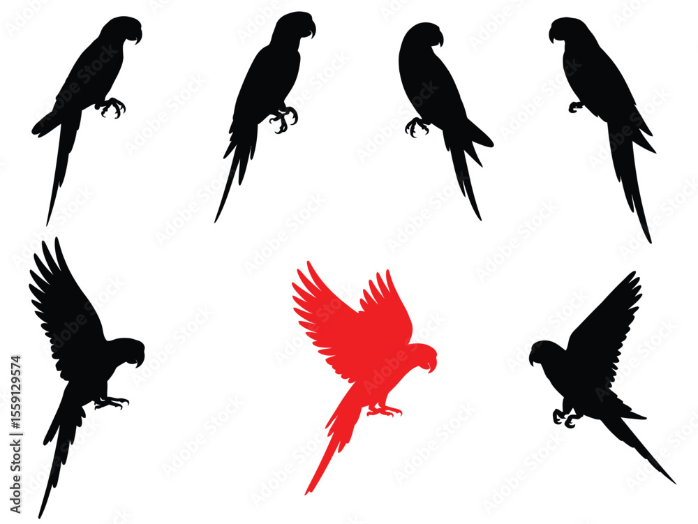 Fototapeta premium Parrot Silhouette Vector Set, Flying and Perched Parrots Icon Collection