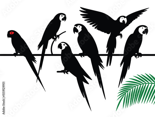set of silhouettes of parrots of different poses and in different angles vector