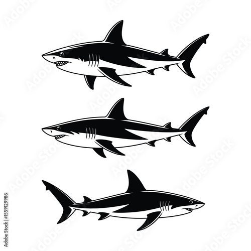 Silhouettes of great white, hammerhead, and mako sharks for clean and iconic marine design