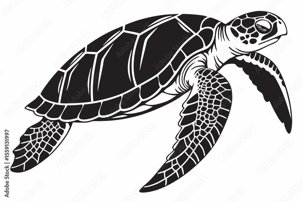 Fototapeta premium loggerhead turtle sihouette black vector