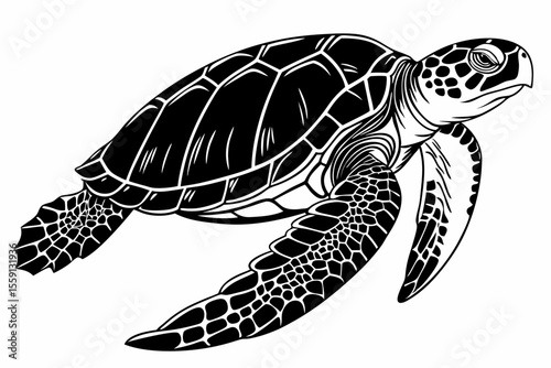 loggerhead turtle sihouette black vector