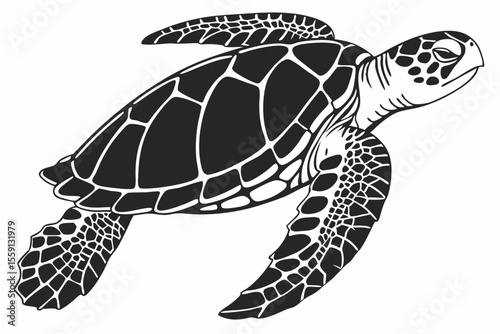 loggerhead turtle sihouette black vector