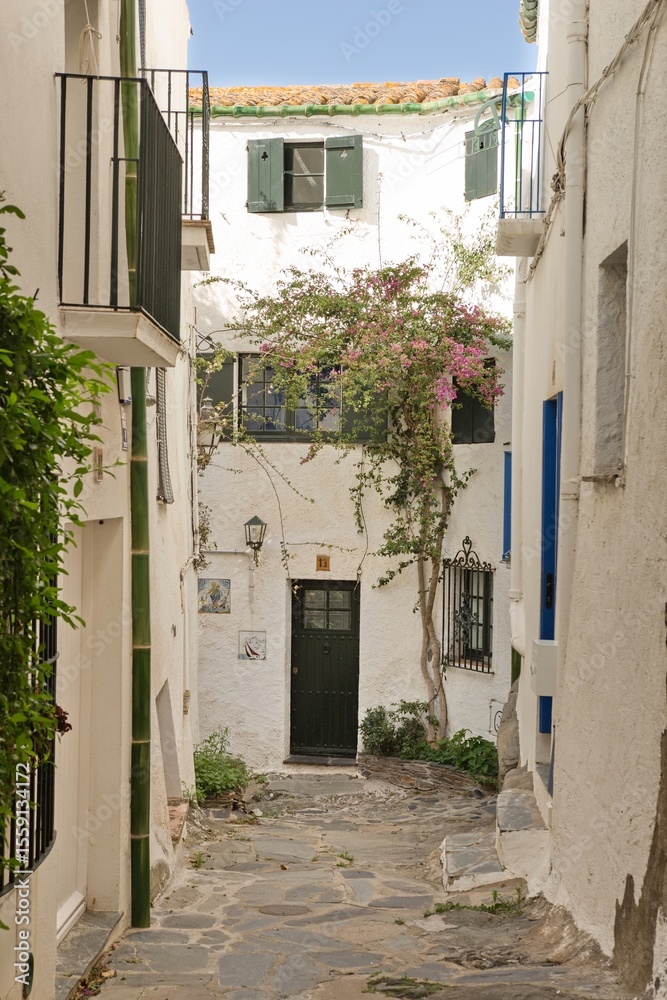 Fototapeta premium Empty narrow streets of Cadaqués, Spain, with white houses and clear blue sky. The peaceful historic town center is beautifully captured without any people, highlighting its charm and tranquility.