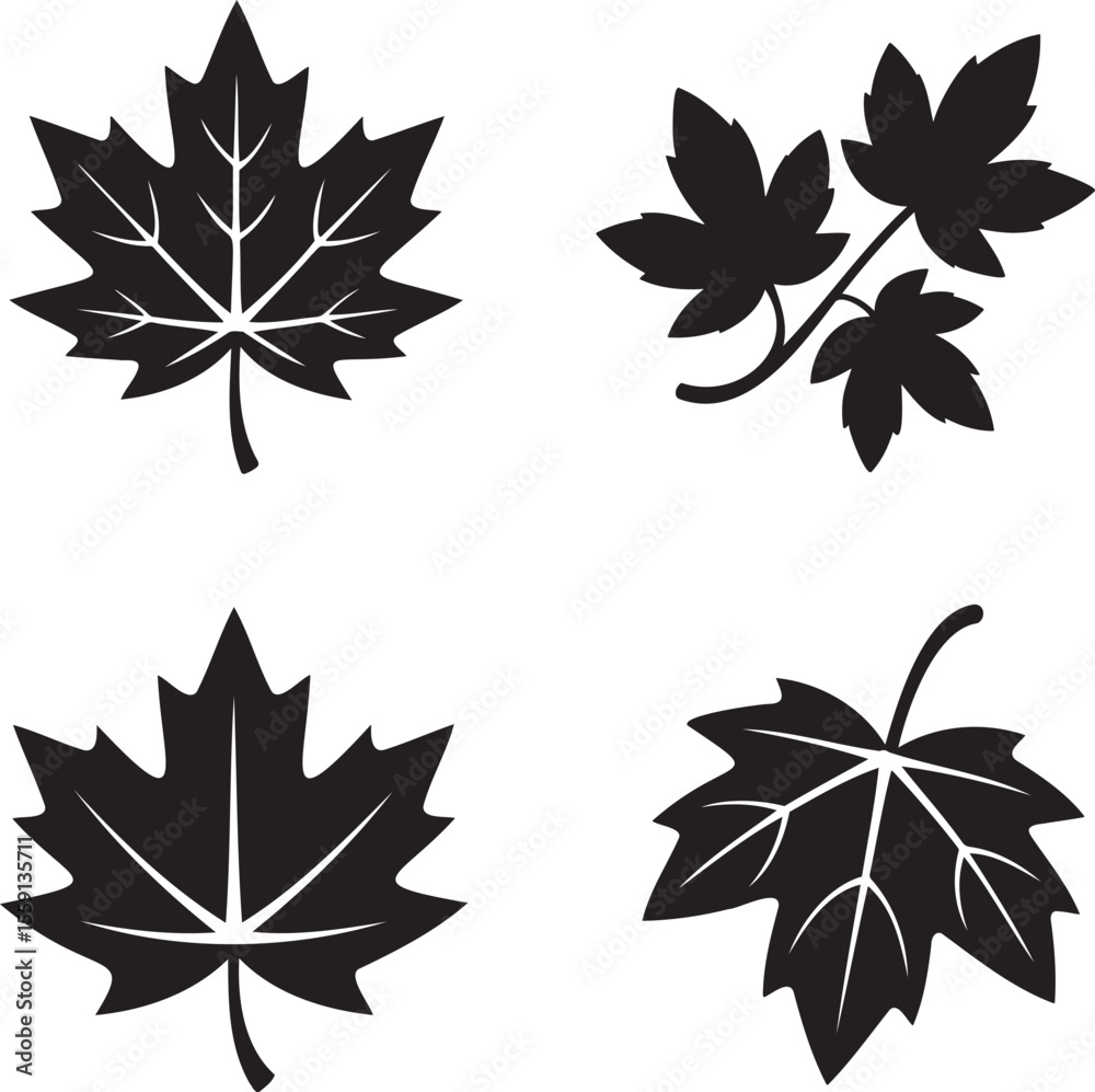 Obraz premium Set of Maple leaf silhouette vector illustration isolated On Transparent Background
