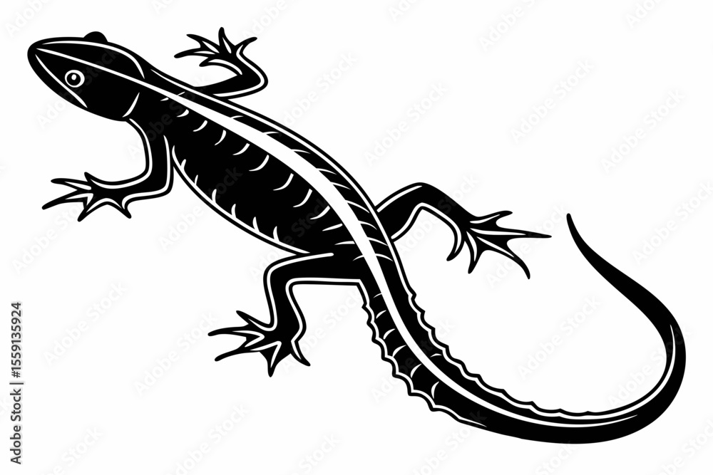 Naklejka premium newt sihouette black vector