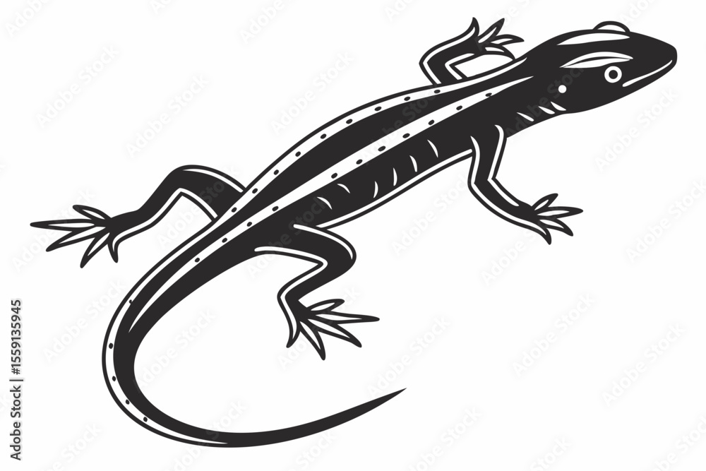 Fototapeta premium newt sihouette black vector