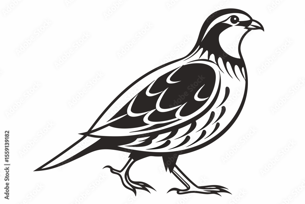 Obraz premium partridge silhoette black vector