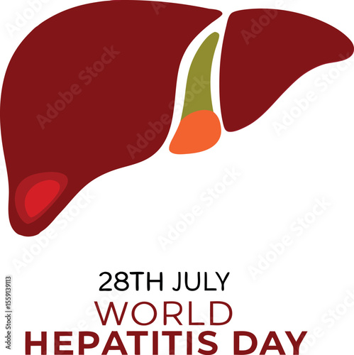celebrating world hepatitis day on white  background