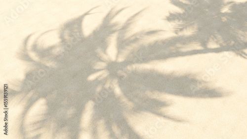 Cuadro en lienzo Shadow of coconut tree on sandy beach