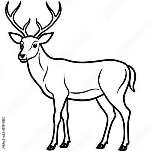 Elegant Wapiti and Vole Line Art Design