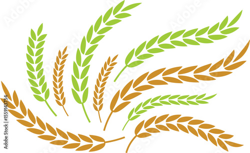 Green and Brown Wheat Ears Grain Design Elements