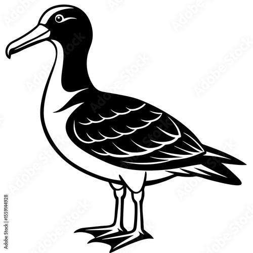 Albatross Silhouette Black Vector Design