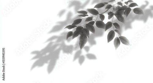 Wallpaper Mural Shadow of Leaves on White Background Torontodigital.ca