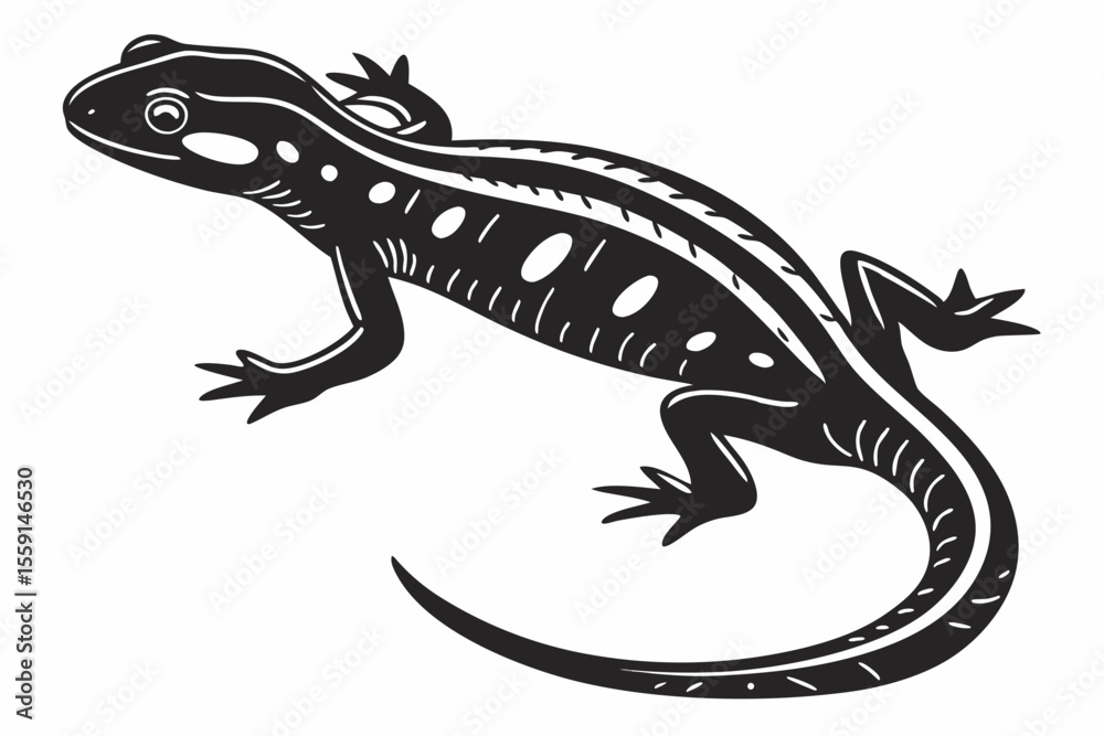 Naklejka premium salamander sihouette black vector