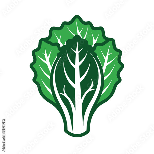 silhouette escarole leaf flat vegetable icon