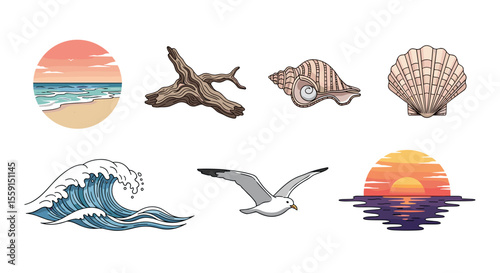 Collection of beach themed elements including seashells driftwood wave seagull and sunset scene artfully arranged