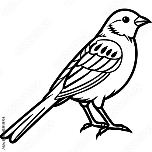 Elegant Yellowhammer Bird Line Illustration