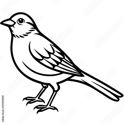 Elegant Yellowhammer Bird Line Illustration