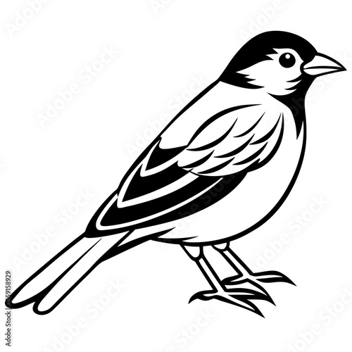 Elegant Yellowhammer Bird Line Illustration