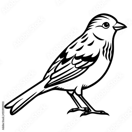 Elegant Yellowhammer Bird Line Illustration