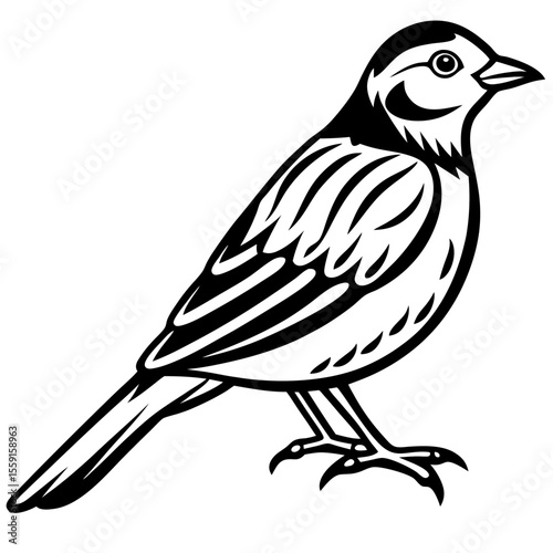 Elegant Yellowhammer Bird Line Illustration