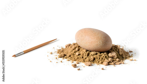 Natural speckled egg resting on a mound of earthy sand, accompanied by a fine paintbrush, showcasing the artistry of nature and creativity in a minimalist composition