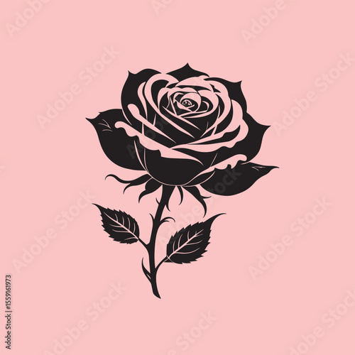 Rose flower vector illustration