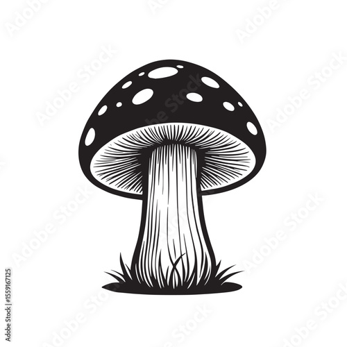 Minimalist mushroom design vector illustration