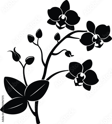 orchid flower branch silhouette elegant floral nature vector art