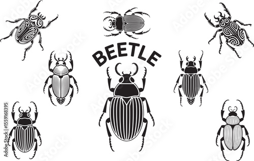 Beetle silhouette vector collection, Set of Beetle silhouette vector