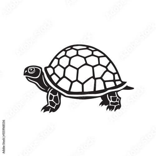 Sea turtle or tortoise silhouette isolated on white background