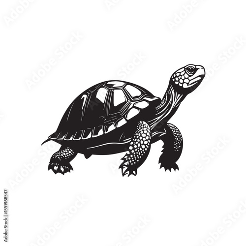 Sea turtle or tortoise silhouette isolated on white background