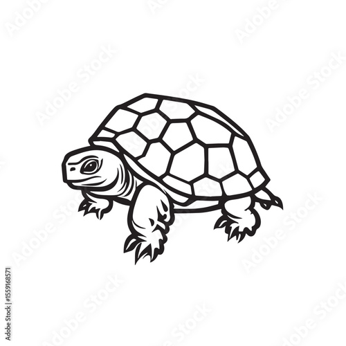 Sea turtle or tortoise silhouette isolated on white background