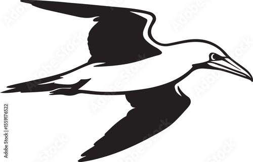Soaring seabird illustration black and white style, Elegant flying bird silhouette ocean theme