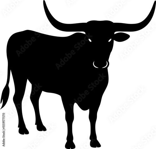 black bull isolated on white